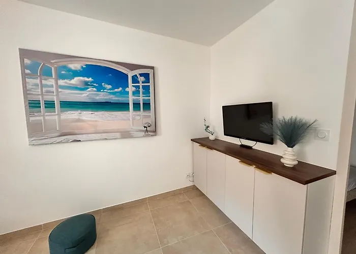 Апартаменты Paradis- 4 Pers, Neuf, Hyper Centre ! A 2 Mn- Climatise Сен-Рафаэль